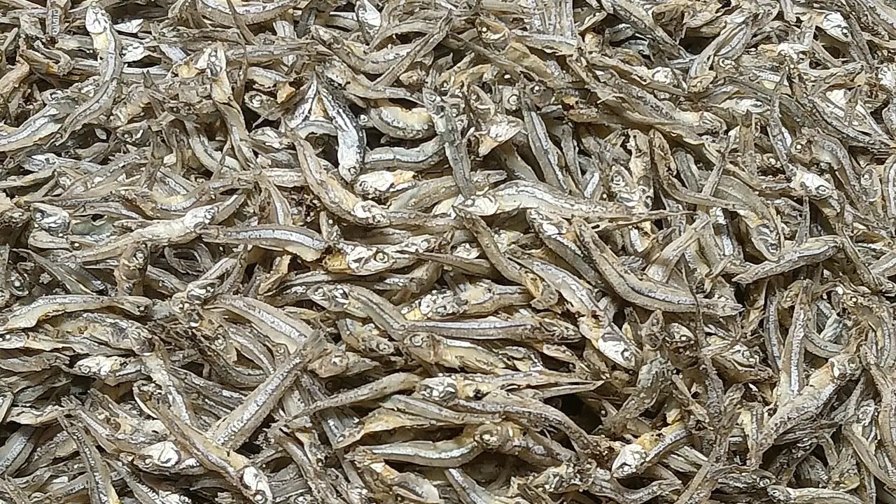 Cách bảo quản đồ khô, đồ một nắng hải sản được lâu mà vẫn ngon
