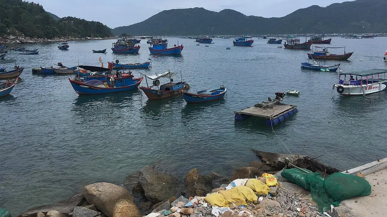Vũng Rô – Mũi Điện: hành trình đón bình minh và hải sản tươi ở cực Đông